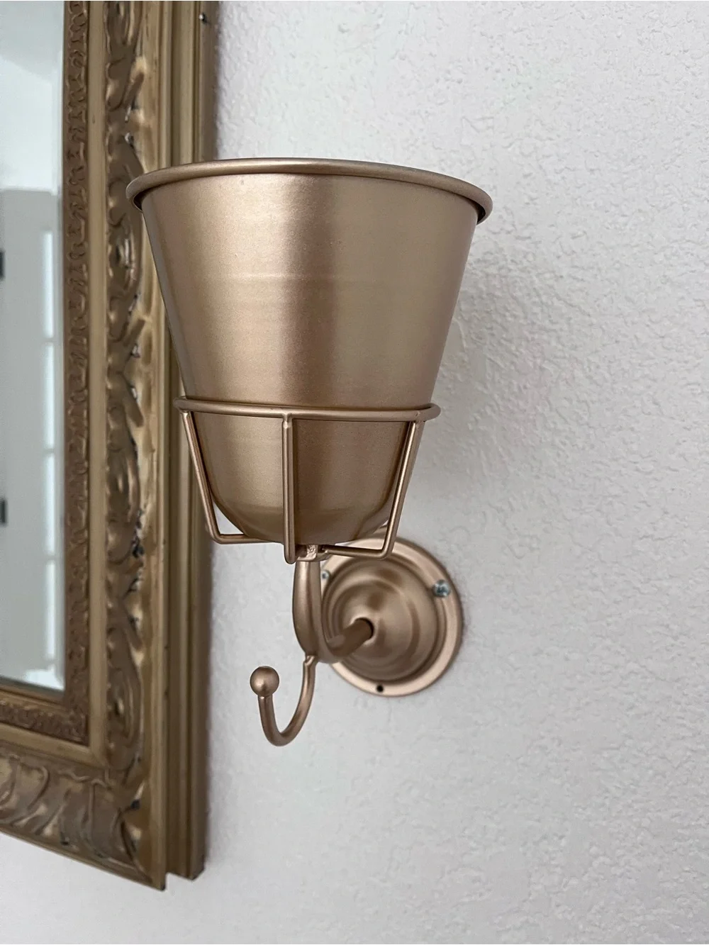 Metal Wall Planter Hook in Gold Finish - Brand Unspecified set of two